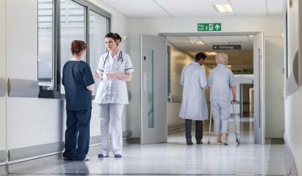 Healthcare preceptor guiding a new clinician through a structured orientation program | Creative Health Care Insight